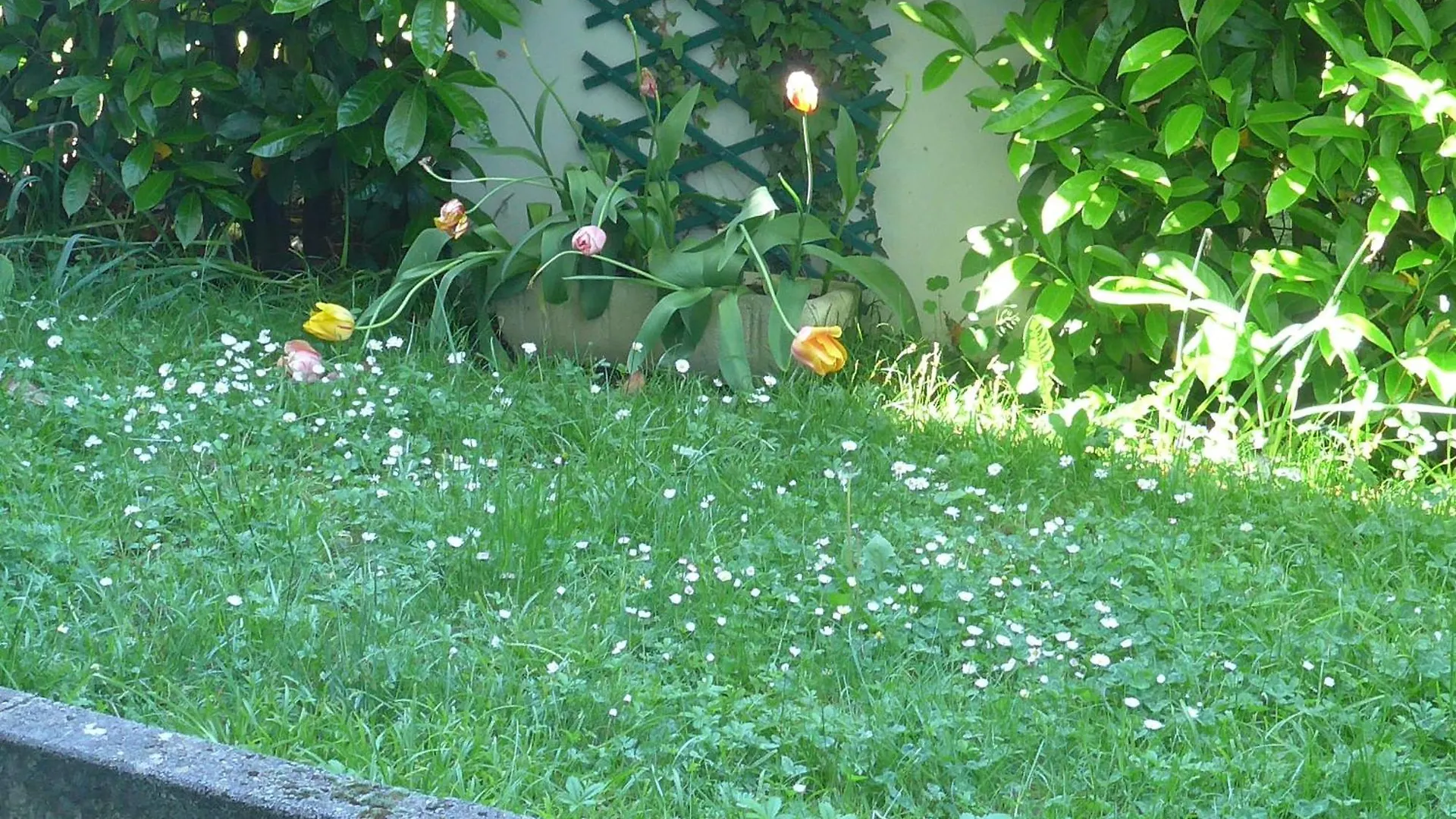 Cool Apartment Thonon-les-Bains