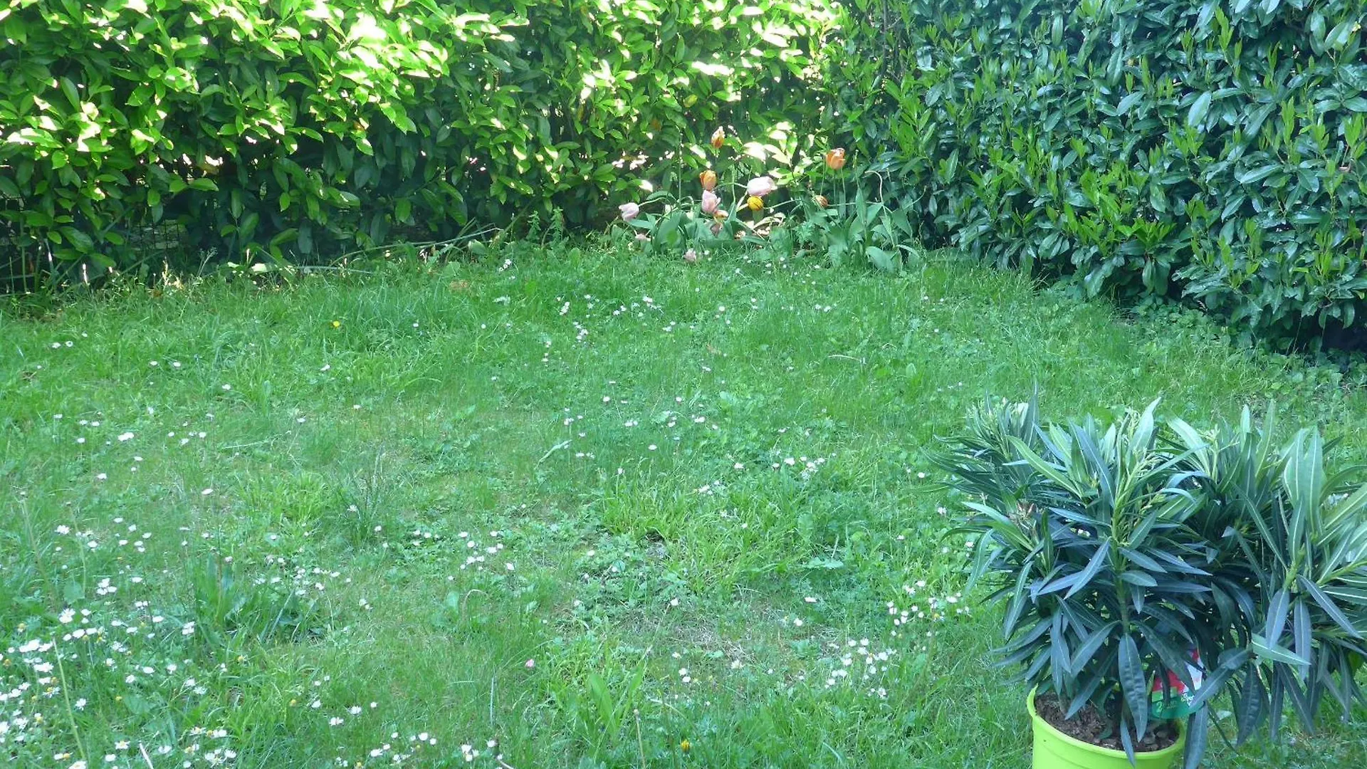 Cool Apartment Thonon-les-Bains